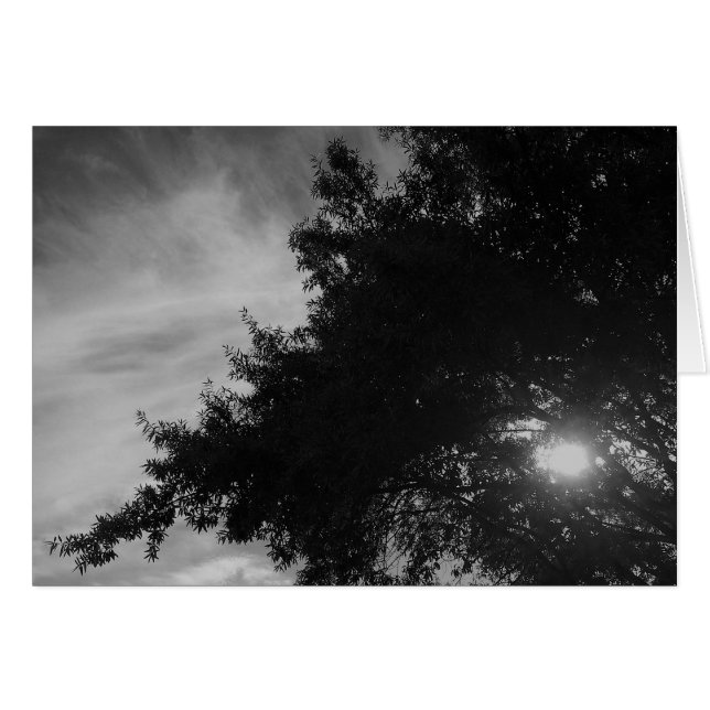 Brillant (Devant horizontal)