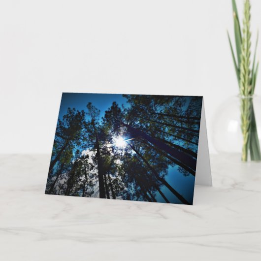 Briller par, carte (Devant)
