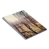 Briller par le journal (Côté Droit)