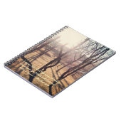 Briller par le journal (Côté gauche)