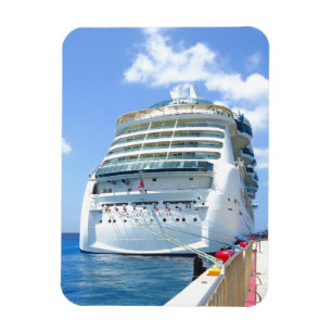 Brilliance Stern Magneet