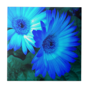 Brilliant Blue Daisies Tegel Trivet Tegeltje
