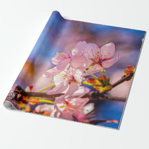 Brilliant Sakura Blossom Cadeaupapier