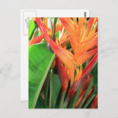 Brilliant Tropical Heliconia Florals Briefkaart (Voorkant / Achterkant)