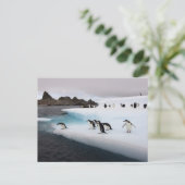 Brilpinguïns Briefkaart (Staand voorkant)