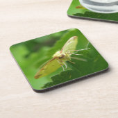 Brimstone Moth Cork Dessous de verre (Côté gauche)