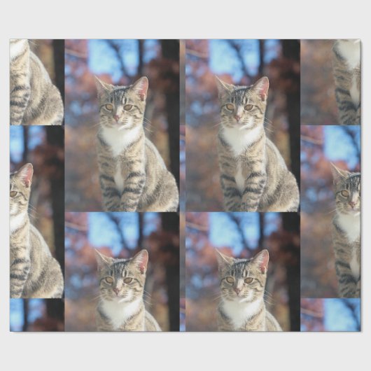 Brin Cadeaupapier (Zoom)