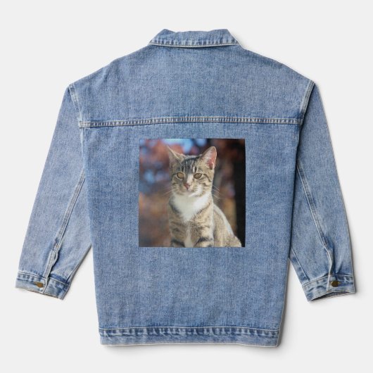 Brin Denim Jacket (Achterkant)