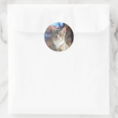 Brin Ronde Sticker (Tas)