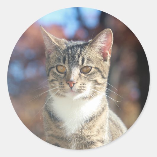 Brin Ronde Sticker (Voorkant)