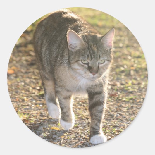 Brin Ronde Sticker (Voorkant)