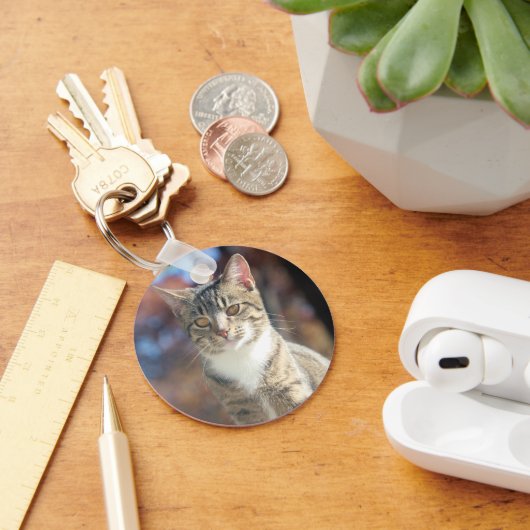 Brin Sleutelhanger (Bureau)