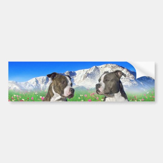 Brindle & Blue Staffordshire & Pit Bull Dogs Bumpersticker (Voorkant)