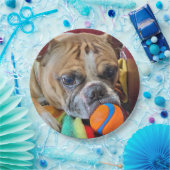 Brindle Boston Terrier Paper Bord (Feest)