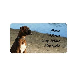 Brindle Boxer chien Étiquettes de adresse