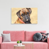 Brindle Boxer Dog Canvas Afdruk (Insitu (Woonkamer))