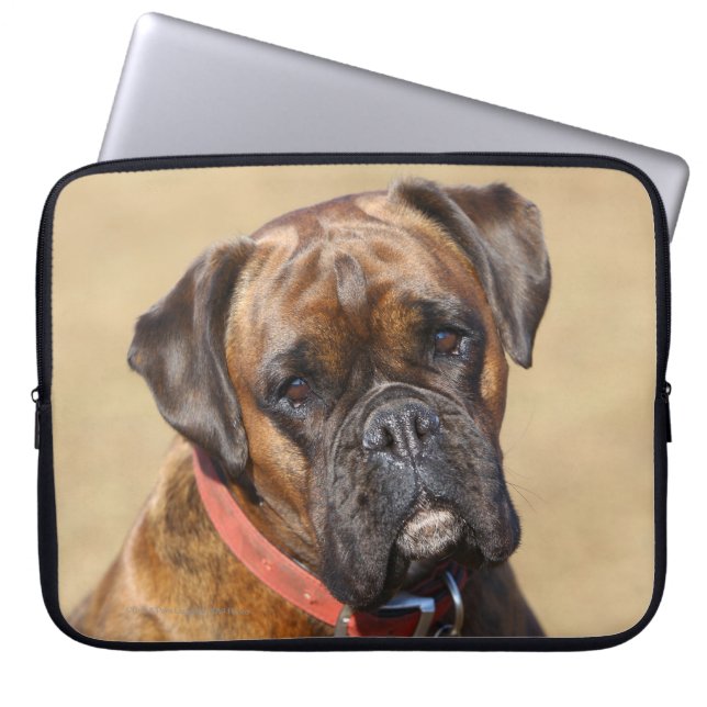 Brindle Boxer Dog Laptop Sleeve (Voorkant)