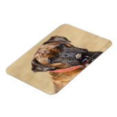 Brindle Boxer Dog Magneet (Linkerzijde)
