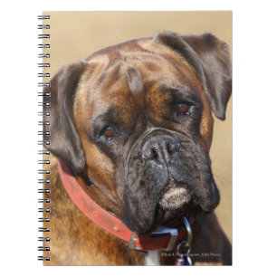Brindle Boxer Dog Notitieboek