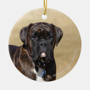 Brindle Boxer Dog Permanent Keramisch Ornament
