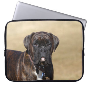 Brindle Boxer Dog Permanent Laptop Sleeve