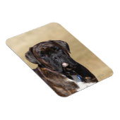 Brindle Boxer Dog Permanent Magneet (Rechterzijde)