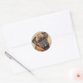 Brindle Boxer Dog Ronde Sticker (Envelop)