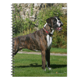 Brindle Boxer Dog Show Stance Notitieboek