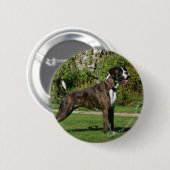 Brindle Boxer Dog Show Stance Ronde Button 5,7 Cm (Voorkant /achterkant)