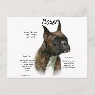 Brindle Boxer Geschiedenis Briefkaart