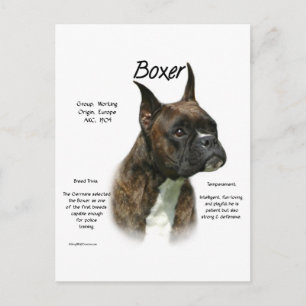 Brindle Boxer Geschiedenis Briefkaart