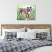 Brindle Boxer Hond Fotobehang Canvas Afdruk (Insitu (Slaapkamer))