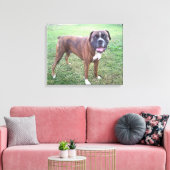 Brindle Boxer Hond Fotobehang Canvas Afdruk (Insitu (Woonkamer))