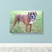 Brindle Boxer Hond Fotobehang Canvas Afdruk (Insitu (Houten vloer))