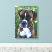 Brindle Boxer Hond Fotobehang Canvas Afdruk (Insitu (Houten vloer))