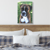 Brindle Boxer Hond Fotobehang Canvas Afdruk (Insitu (Slaapkamer))