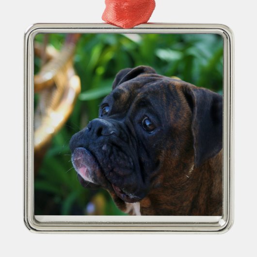 Brindle boxer-hondenversiering metalen ornament (Voorkant)