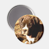 Brindle Boxer pup magneet (Voorkant / Achterkant)