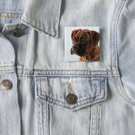 Brindle boxer puppy button (In situ)