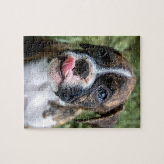 Brindle Boxer Puppy Puzzle - Boxer Dog Puzzels (Horizontaal)