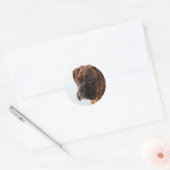 Brindle boxer puppy stickers (Envelop)