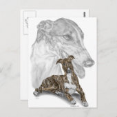 Brindle Greyhound Dog Art Briefkaart (Voorkant / Achterkant)