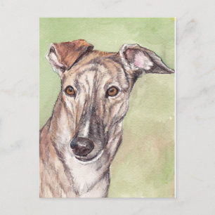 Brindle Greyhound Dog Art Briefkaarten