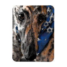 Brindle Greyhound in haar vakantie Bandana
