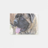 Brindle Mastiff Post-it® Notes (Voorkant)