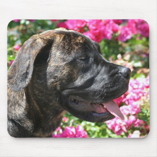 Brindle Mastiff Puppy mousepad Muismat (Voorkant)
