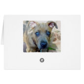 Brindle Pit Bull Puppy par Shirley Taylor (Dos Horizontal)