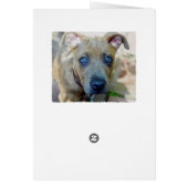 Brindle Pit Bull Puppy par Shirley Taylor (Dos)