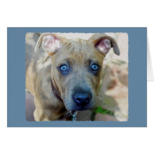 Brindle Pit Bull Puppy van Shirley Taylor