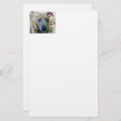 Brindle Pit Bull Puppy van Shirley Taylor Briefpapier (Voorkant / Achterkant)